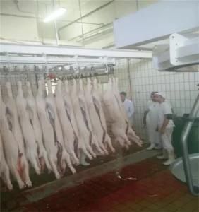 Pig Pork Slaughtering Processing Machinery for Sale