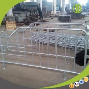 Galvanized Gestation Sow Stall Pig Stall Hot Sales