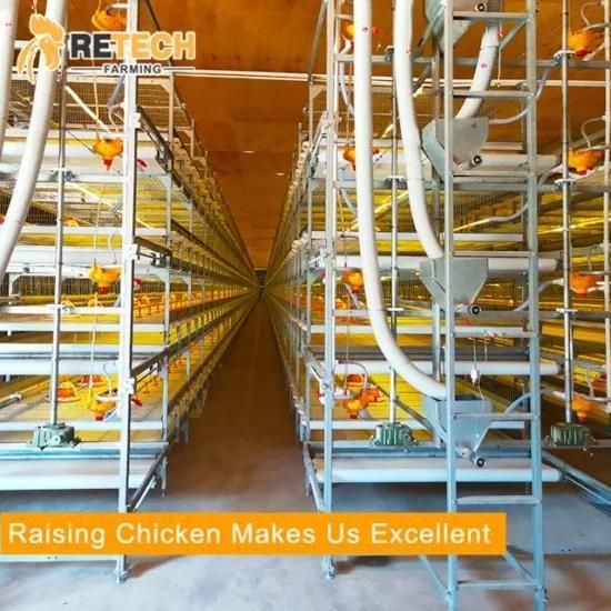 Hot-Dip Galvanized Steel H Frame Broiler Chicken Cage Poultry Farm System