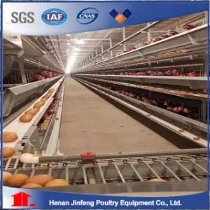 H Type Automatic Egg Poultry Farms Battery Layer Chicken Cages
