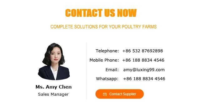 Poultry Equipment H Type Battery Chicken Broiler Cage