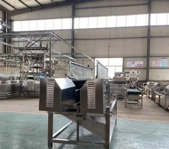 Chicken Slaughter Chain Slaughter Plant Poultry Slaughtering Production Line