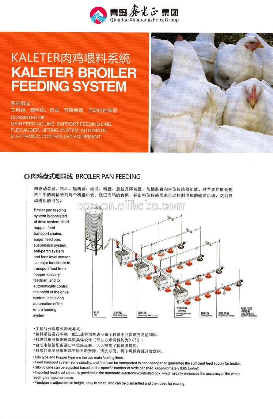 Automatic Poultry Farm Broiler Chicken Equipment