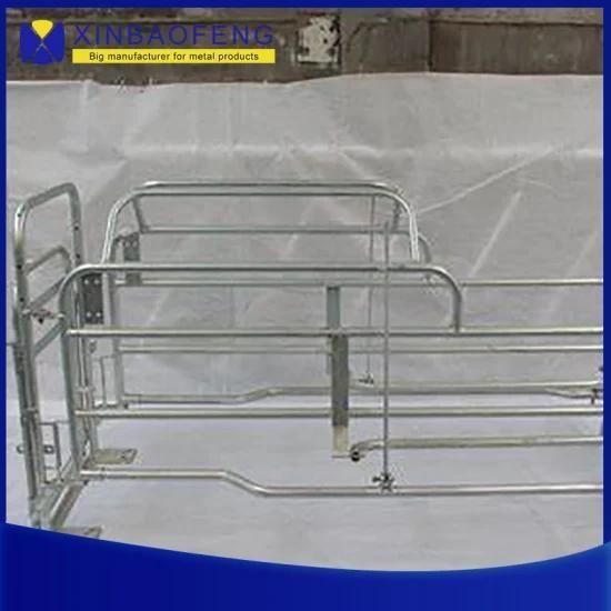 Solid Steel Material Pig Penning Farrowing Stall