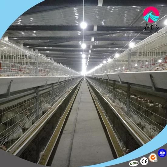 Automatic Galvanized Relible Broiler Cage for Poultry House