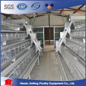 Poultry System for Chicken Layer/ Poultry Battery Cage Equipment