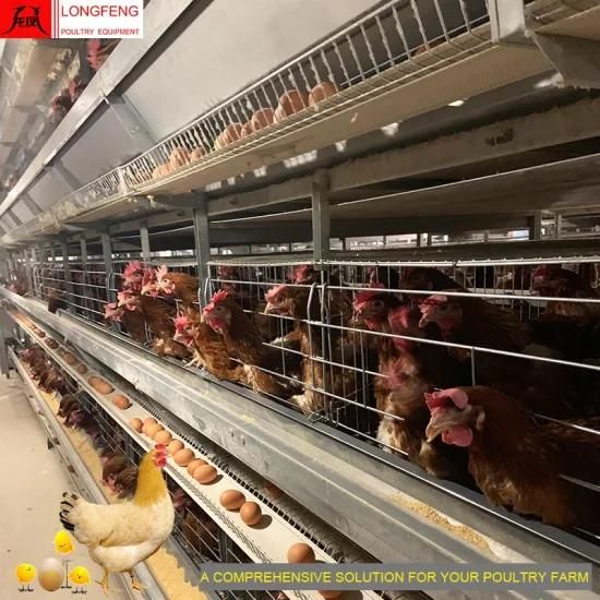 ISO9001: 2008 Certified Computerized Poultry Chicken Equipment 96 Birds-384 Birds Per Set, ...