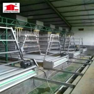 Wire Netting Chicken Cage for Poultry Farm