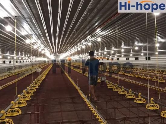 Poultry Farm Automatic Water for Chickens, Broiler Pan Feeding System