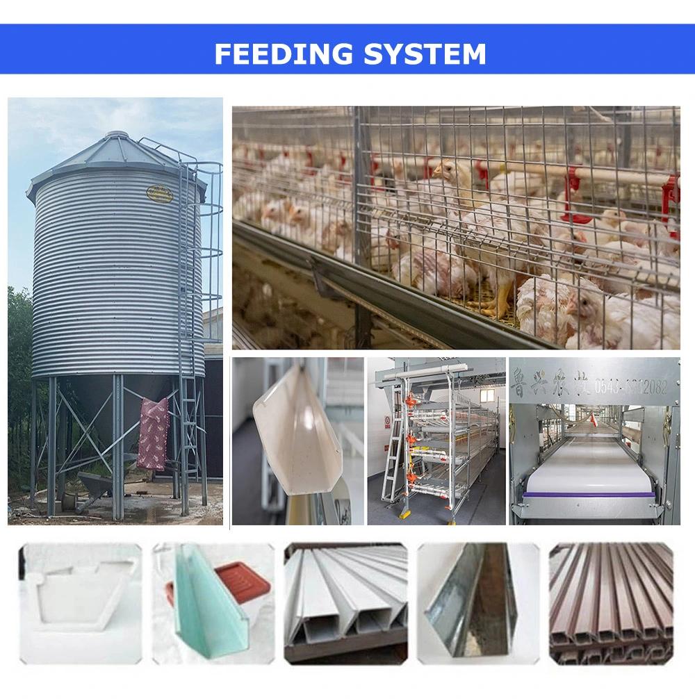 Best Selling Products Huaxing Equipment Poultry Automatic Drinker Pakistan Battery Cage in Nigeria