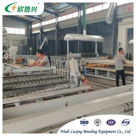 High Quality Broiler Farming Equipment Day Old Chicks Broiler Cage for Sale