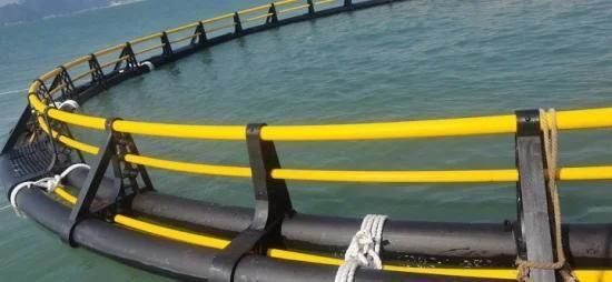 Black HDPE Pipe Full Form Aquaculture Fish Farming Cage