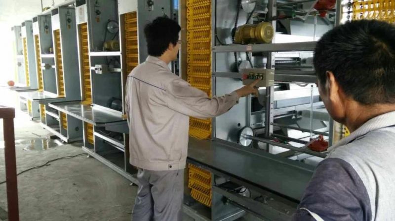 Xinguangzheng Poultry Equipment for Layer Cage