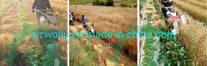 High Efficiency Rice, Wheat, Alfalfa, Cereals, Sorghum Reaping & Bundling Machine