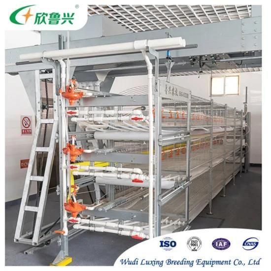 High Quality Poultry Battery Broiler H Frame Layer Cage System