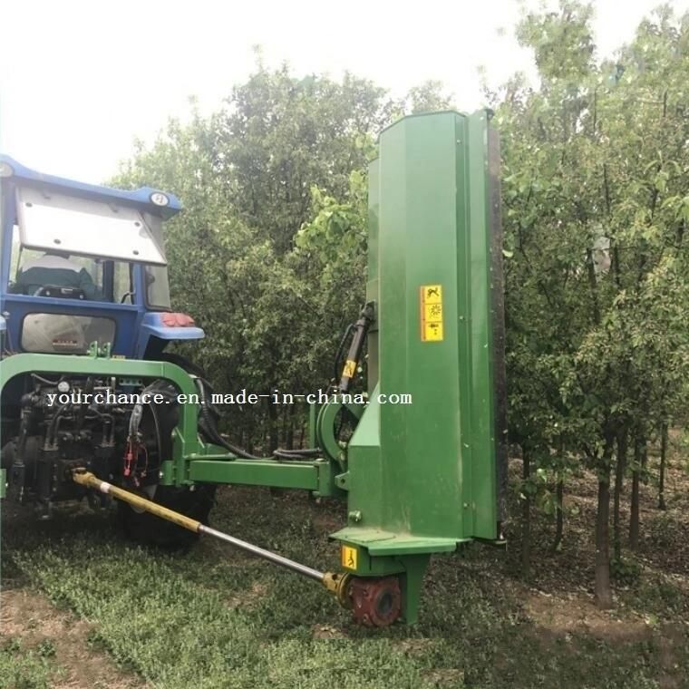 High Quality China Verge Flail Mower Agf Series 2m Width 70-100HP Tractor Mounted Pto Drive Hydraulic Side Shift Flail Mower Brush Cutter Hot Sale in Argentina