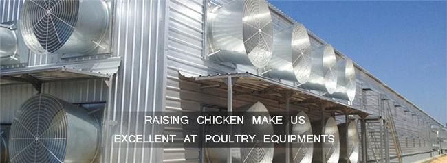 Automatic Chicken House Poultry Farm Environment Controller System