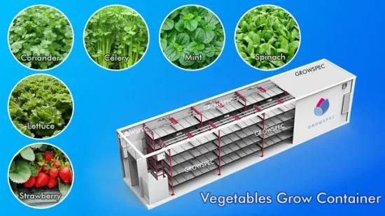 Microgreens Container Vertical Hydroponic Shipping Farming Container Grow Smart Farms