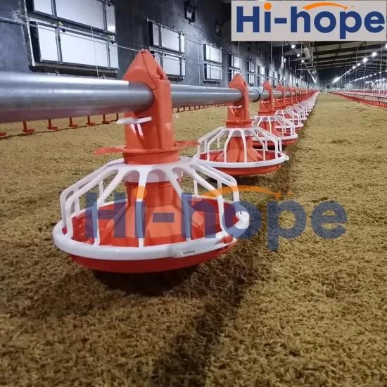 Automatic Poultry Farming Equipment Feed Line System for Chicken House