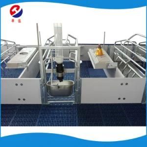 European Standard Good Design / Certified Pig Equipment for Sow /Wholesale Farrowing Crate