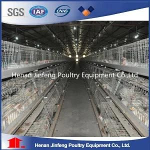 Hot/Cold Galvanization Chicken Egg Poultry Farm Equipment