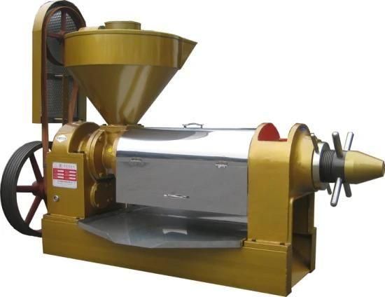 Moringa Oil Presser/Moringa Seeds Oil Press Machine/Moringa Oil Processing Machine