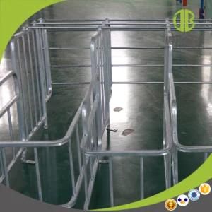 Folding Gestation Stall Using in Pig Breeding with Two Functions