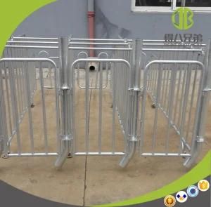 Hot DIP Galvanized Gestation Stall with Good Quality