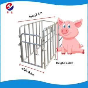 Pig Gestation Crates/ Limit Stall for Sow with High Quality Feeder Though/ Pig Hot Sell ...