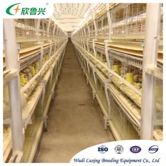 Poultry Farm Equipment Automatic 4 Tiers Broiler Breeder Chicken Battery Cage System for ...
