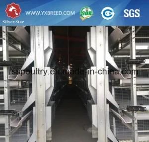 H Type Egg Layer Chicken Cages Poultry Equipment