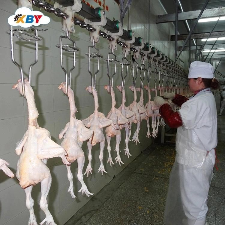Full Set of Russian Halal Chicken Abattoir Slaughtering Equipment
