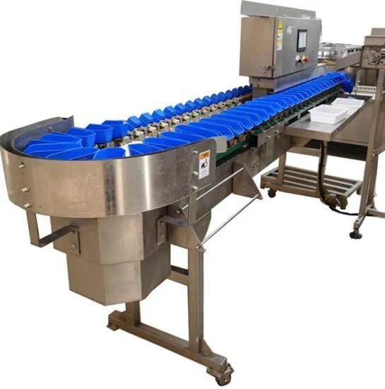 Weighing Machine Meat Sorting Grader for Chicken Processing Plant