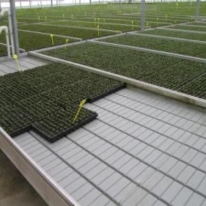 Skylant Greenhouse Flower Ebb and Flood Benches Rolling Trays