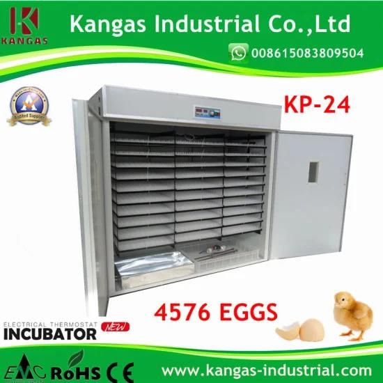 Automatic Egg Incubator (setter &amp; hatcher)