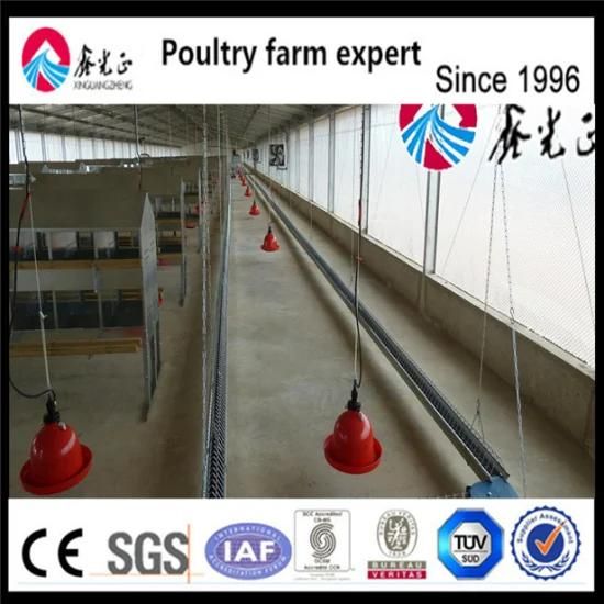 Factory Supply Broiler Chicken Equipment with Low Cost