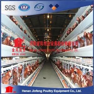 a Type Chicken Poultry Farm Equipment Egg Laying Cage