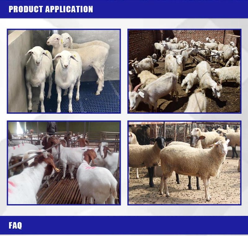 Factory Direct Sale of Livestock Equipment Hot-DIP Galvanized Sheep Fence