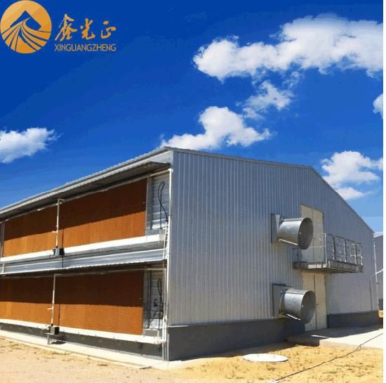 Low Cost Automatic Quail Cage 6 Layer Egg Quail Cage/Poultry Farm House