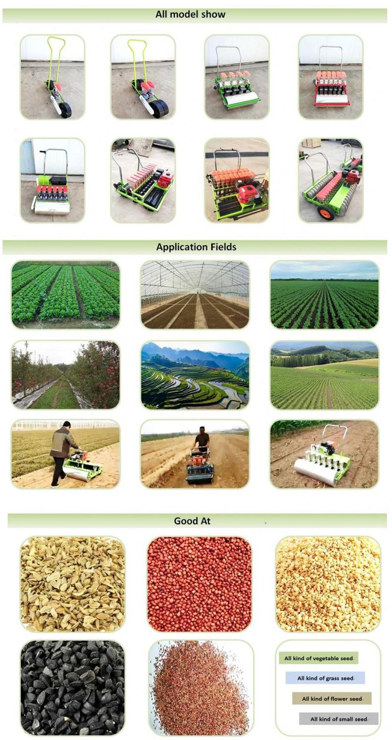 Kentucky Blue Grass Seeding Machine/Pseudo Sower/ Fescue Seed Seeder/ Fine Wheat Planter (factory selling customization)