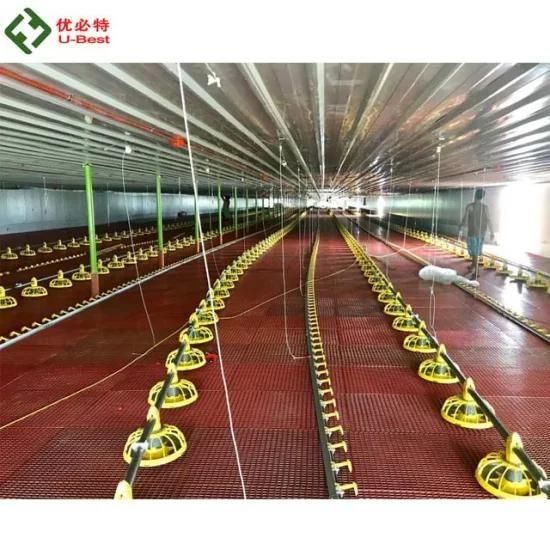 Controlled Broiler Poultry Farms Shed Design with Automatic Equipment