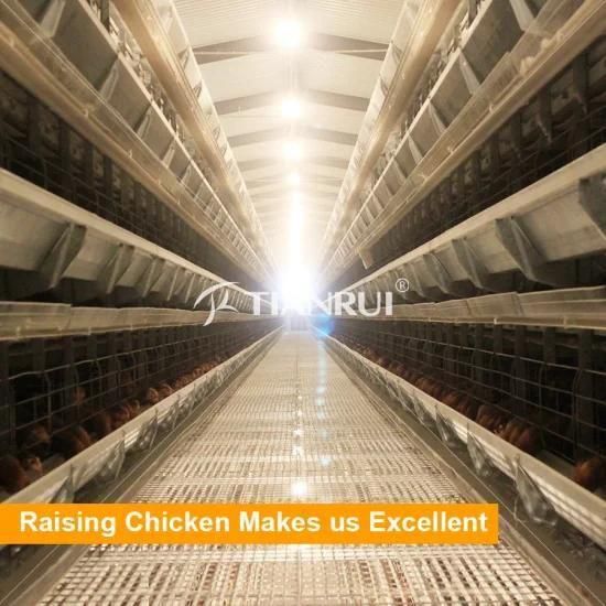 H Frame Automatic Galvanized Laying Hen/Layer/Egg Chicken Battery Cages for sale