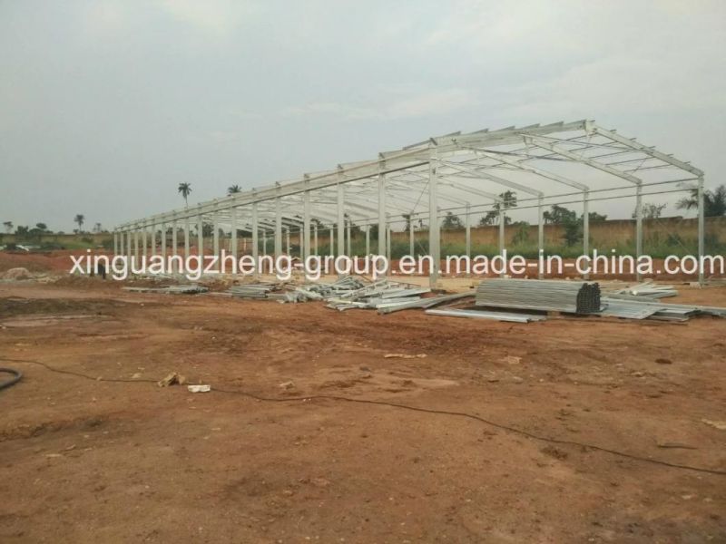 Professionally Designed High Yield Steel Structure Chicken House