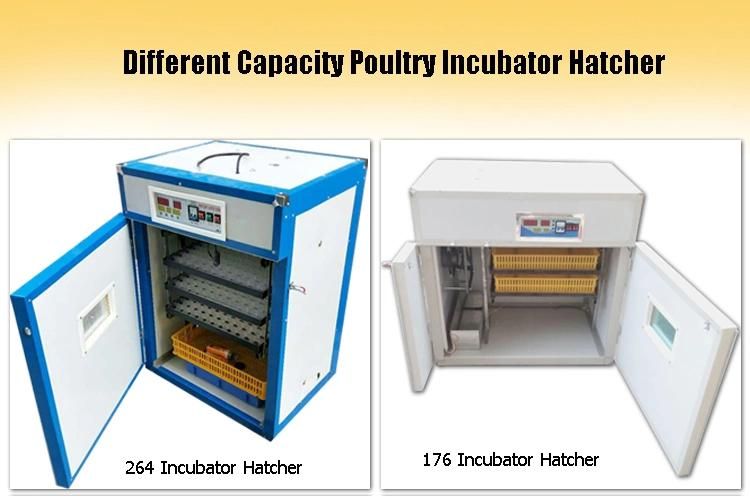 Industrial Chicken Eggs Automatic Incubator Hatcher Equipment for Sale