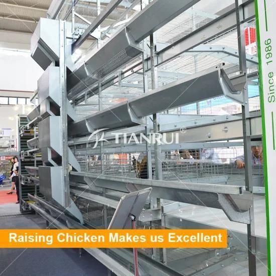 Automatic galvanized battery chicken cages equipment for poultry farms