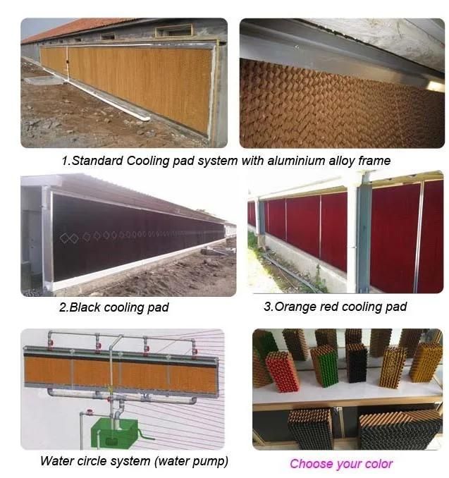 Poultry Greenhouse Cooling System Evaporative Cooling Pad for Farm Withce
