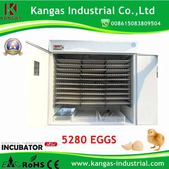 Hatching 5280 Chicken Eggs Egg Incubation Machine / Incubator