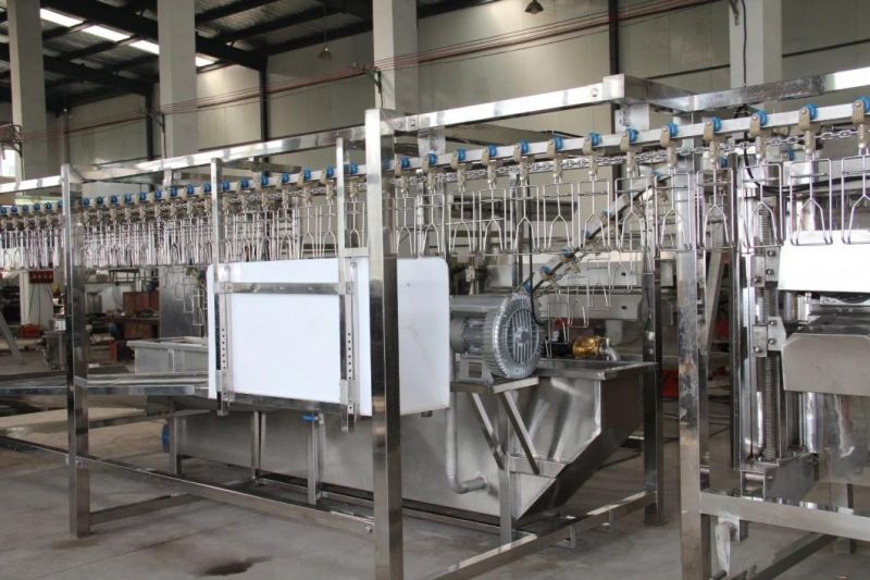 2021 Chicken Plucking Machine Poultry Plucker Slaughtering Equipments Feather Removal Machine