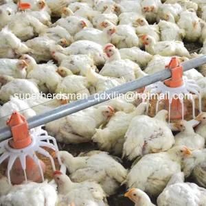 Hot Sale Automatic Poultry Farm Equipment for Broiler Farm