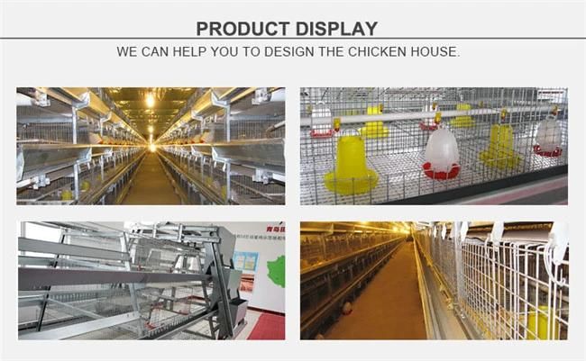 Multi-Tier Hot Dipped Galvanized Chicken Coop for Pullet